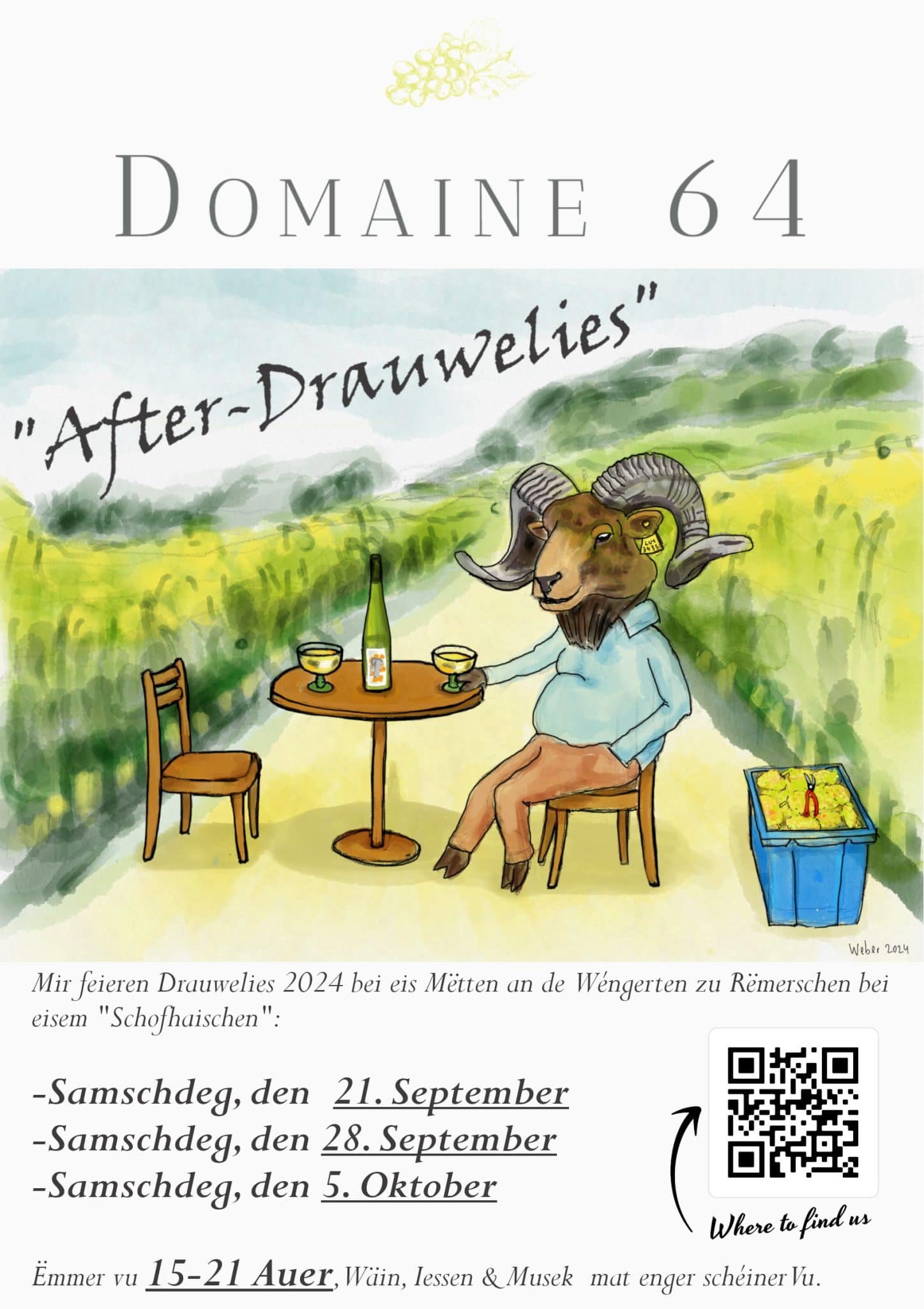 After Drauwelies Domaine 64